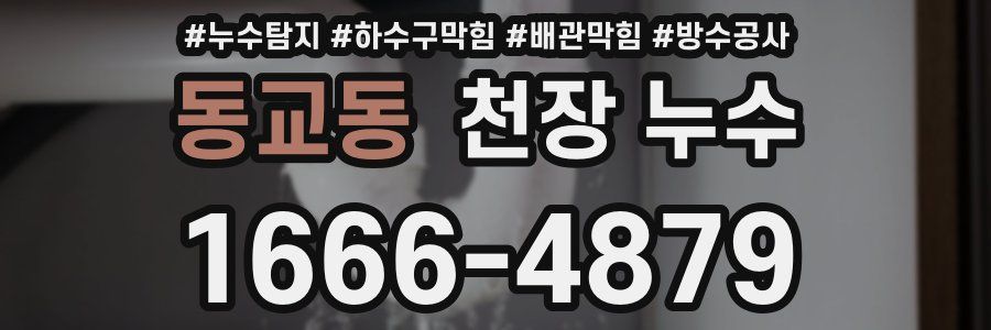 동교동 천장 누수