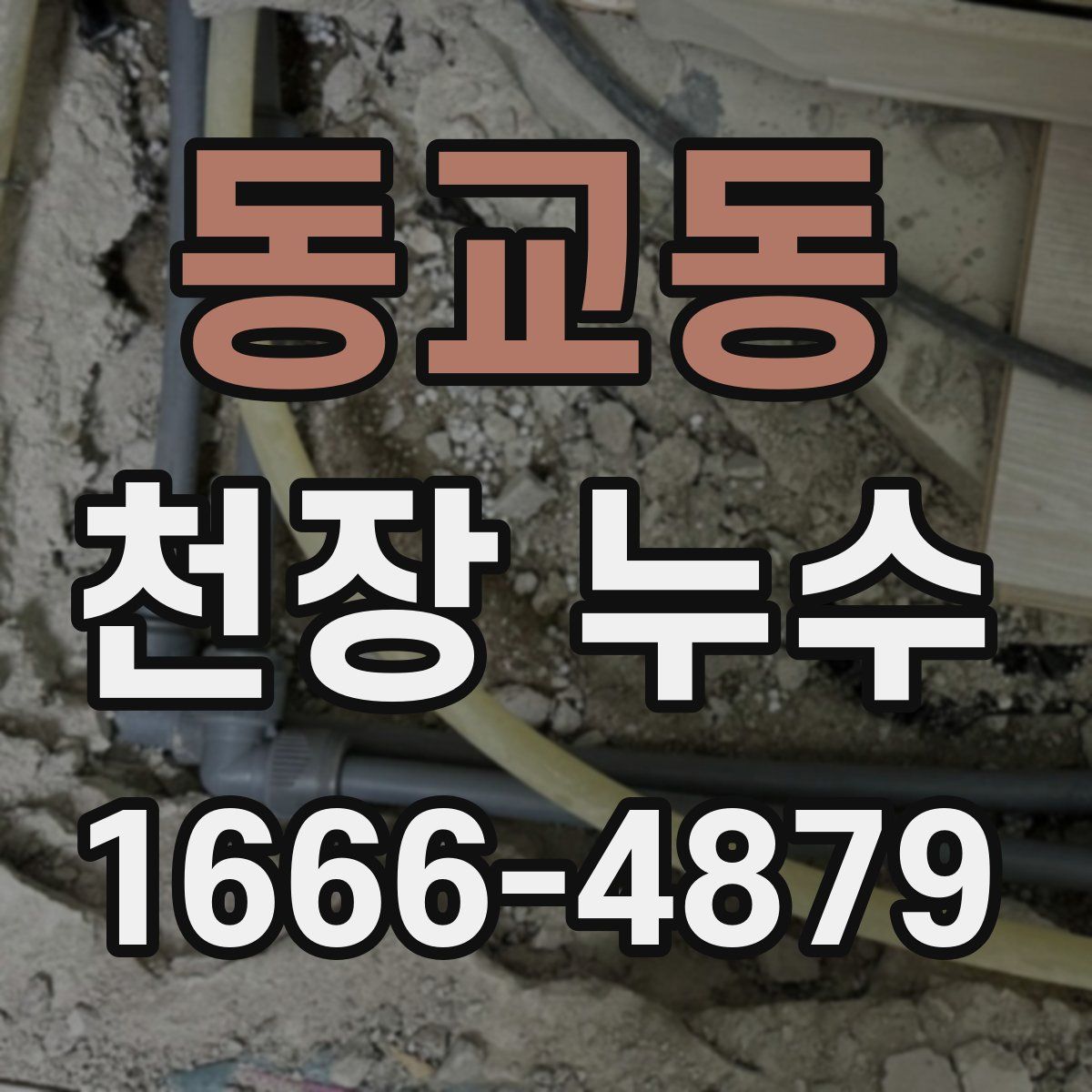 동교동 천장 누수
