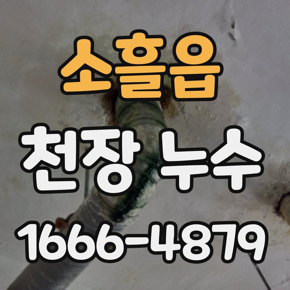 소흘읍 천장 누수