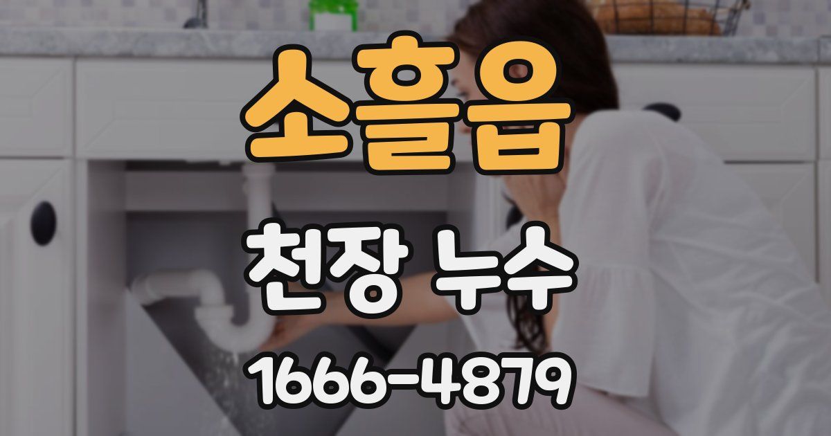소흘읍 천장 누수