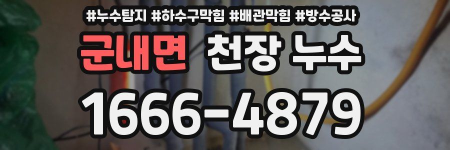 군내면 천장 누수