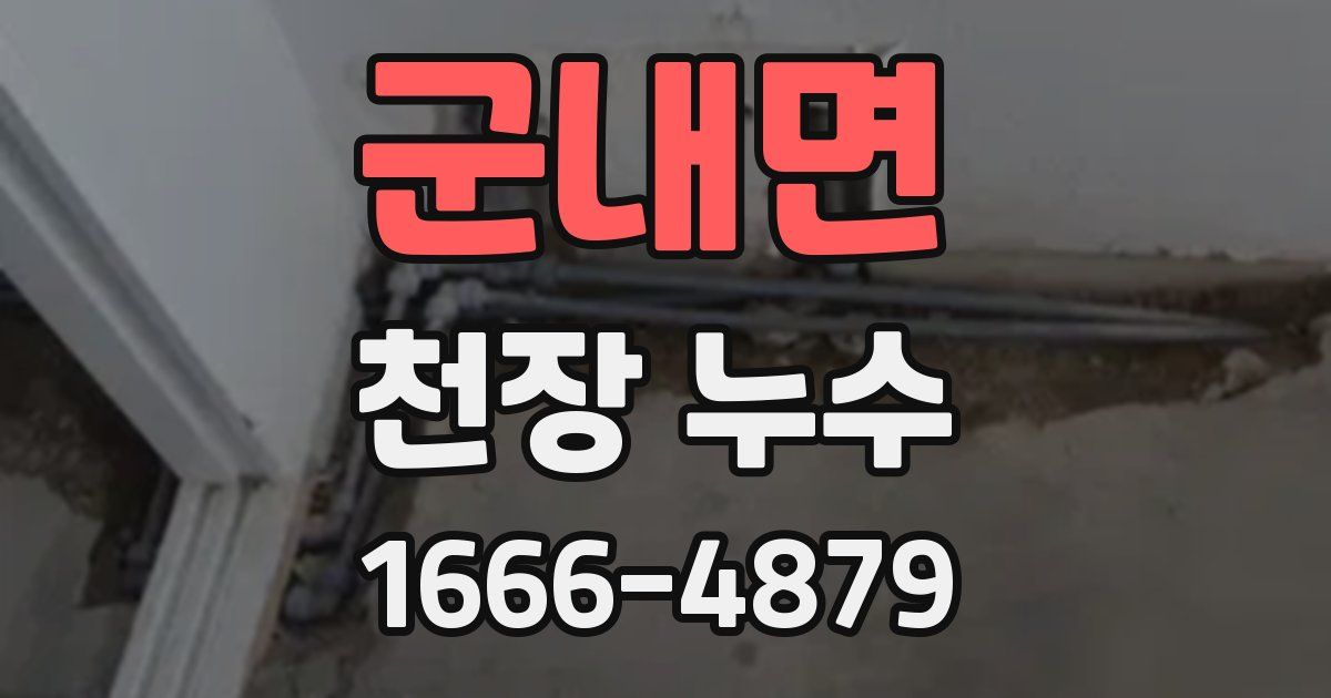 군내면 천장 누수