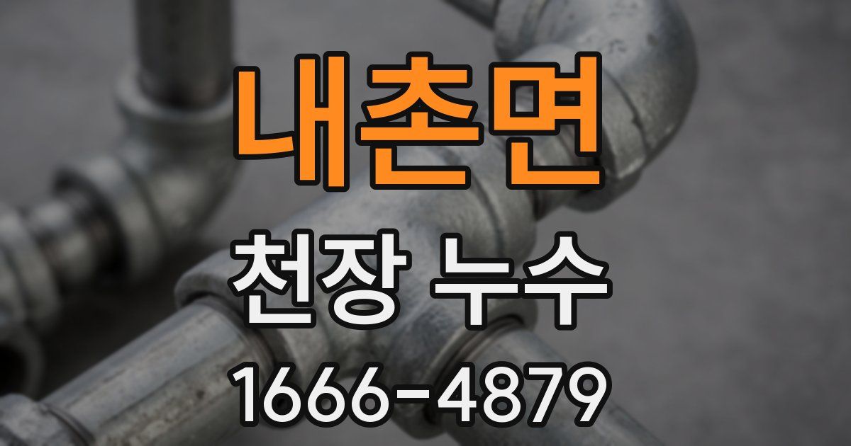 내촌면 천장 누수