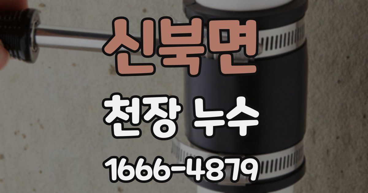 신북면 천장 누수