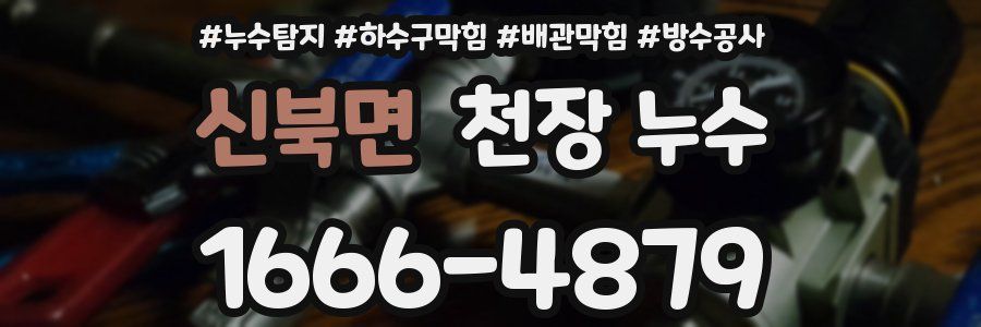 신북면 천장 누수