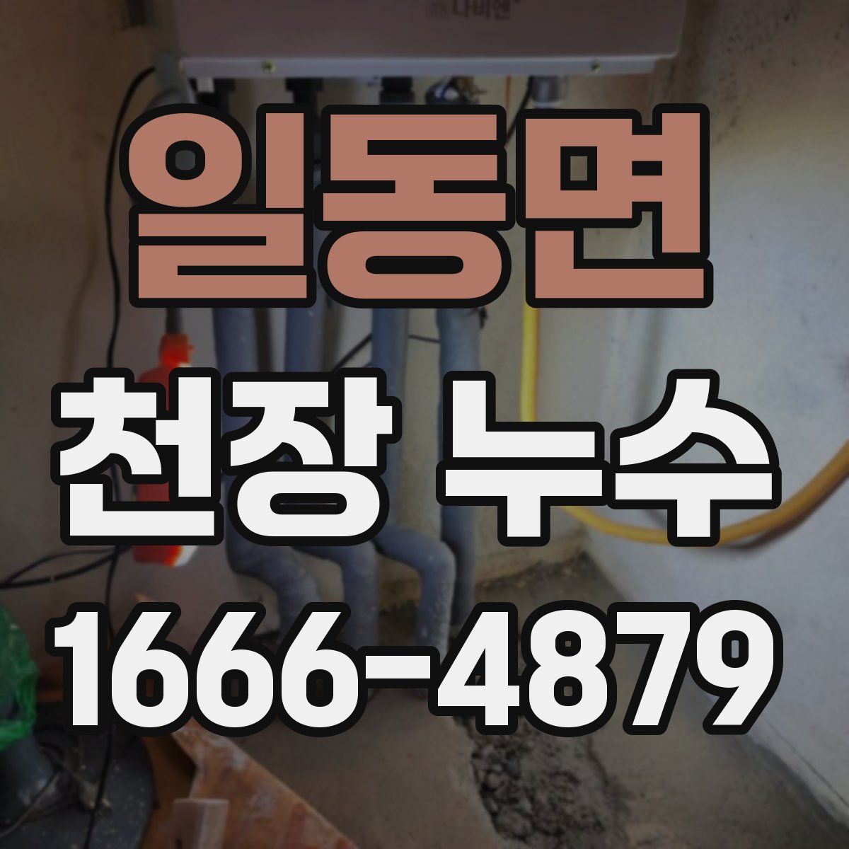일동면 천장 누수