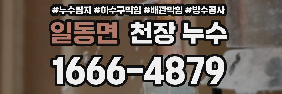 일동면 천장 누수