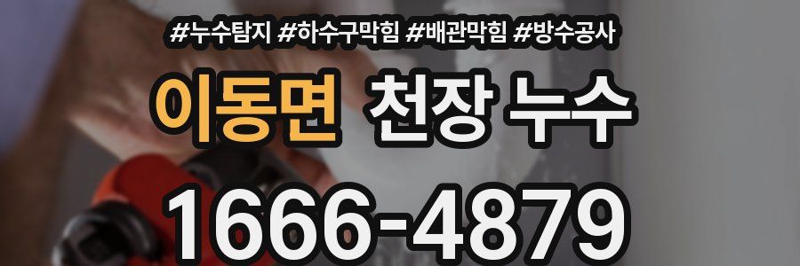 이동면 천장 누수