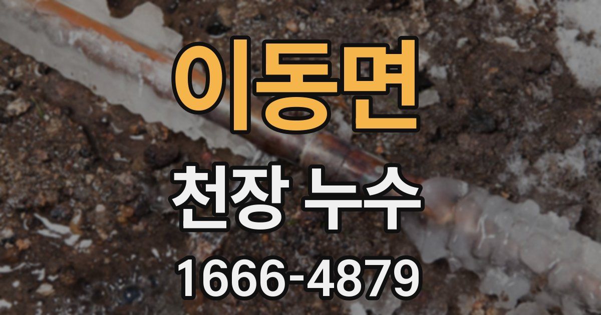 이동면 천장 누수