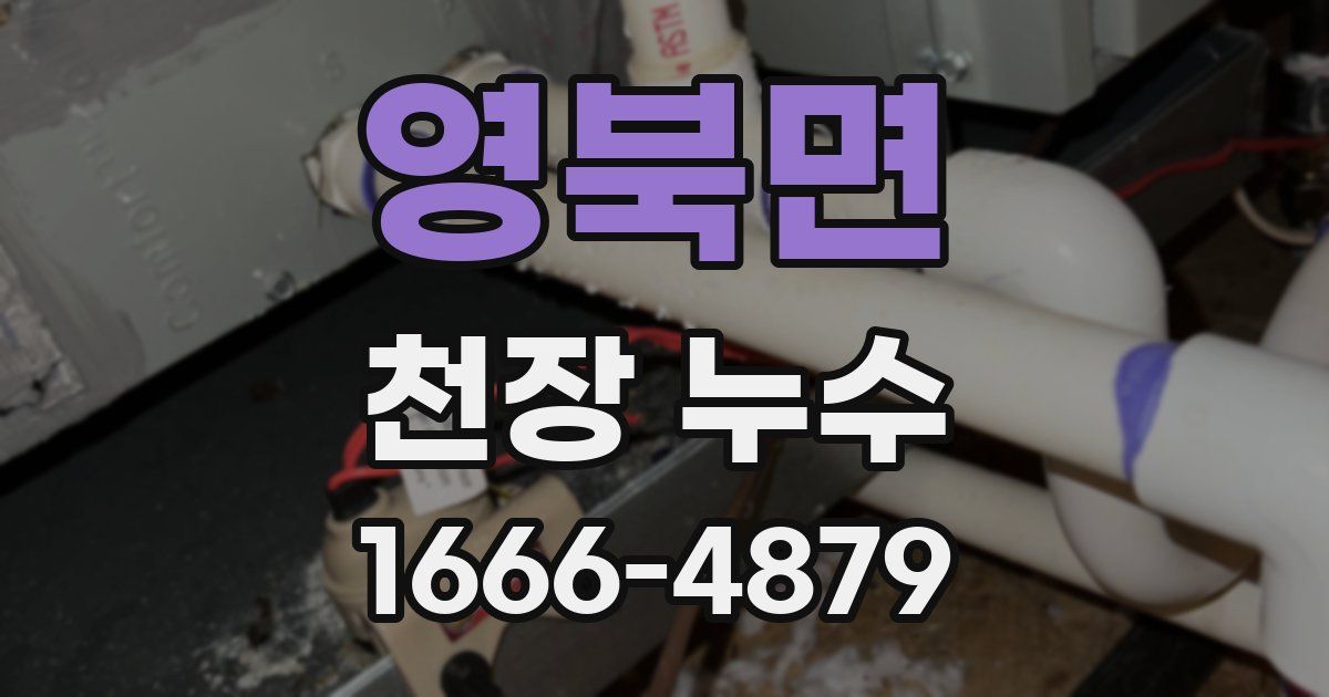 영북면 천장 누수