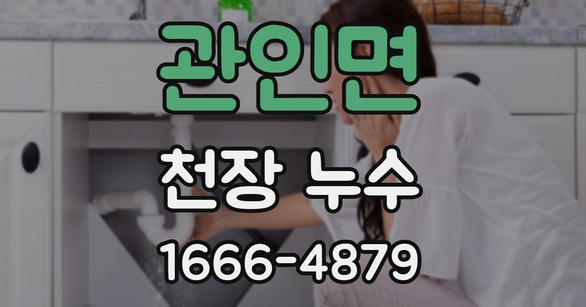 관인면 천장 누수
