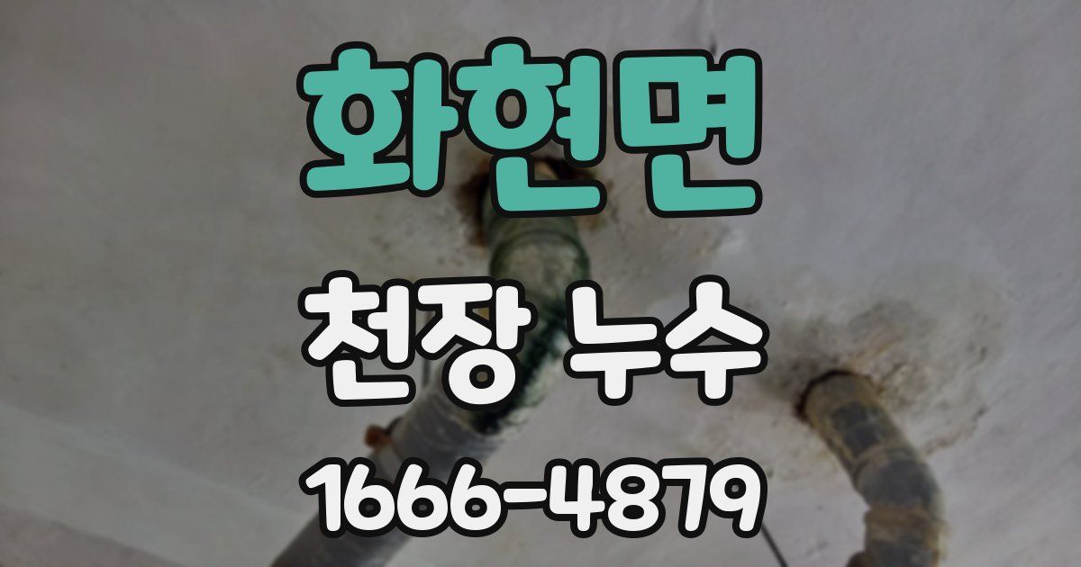 화현면 천장 누수