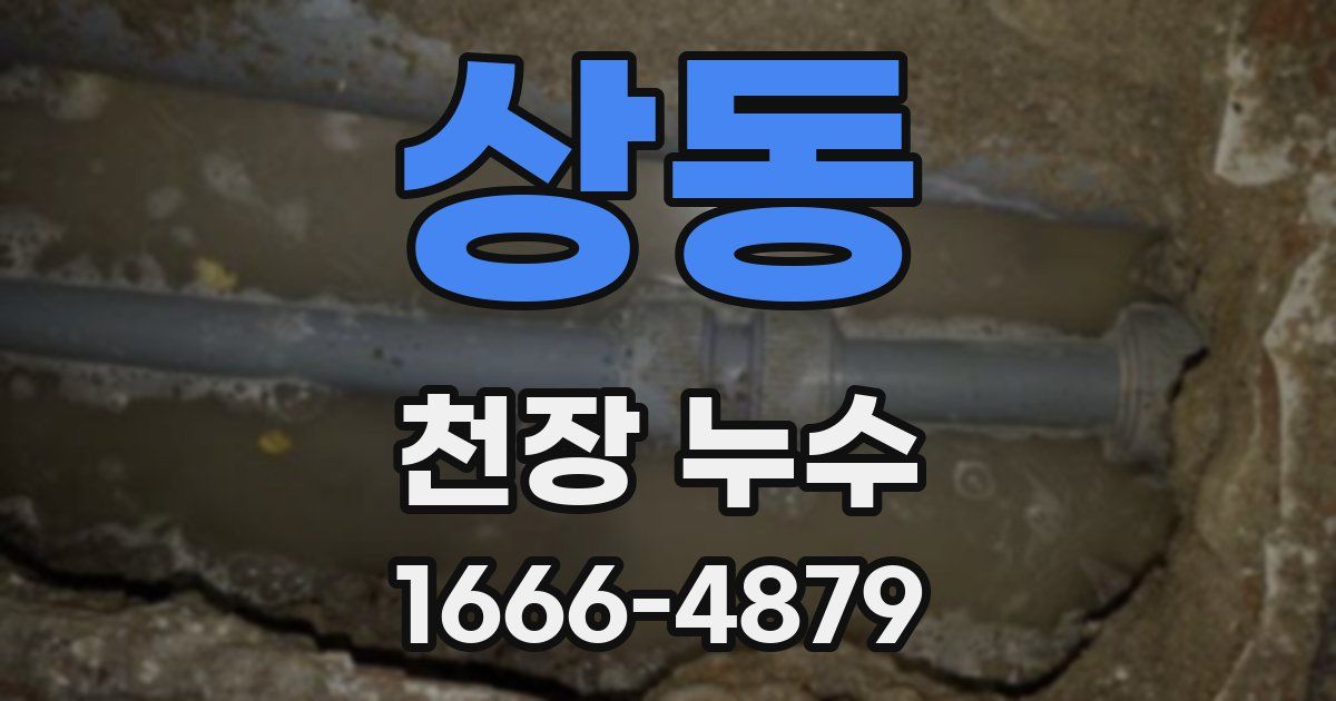 상동 천장 누수