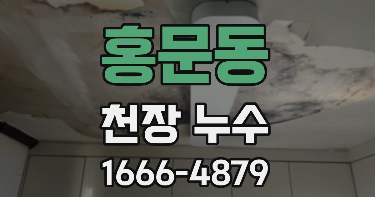 홍문동 천장 누수