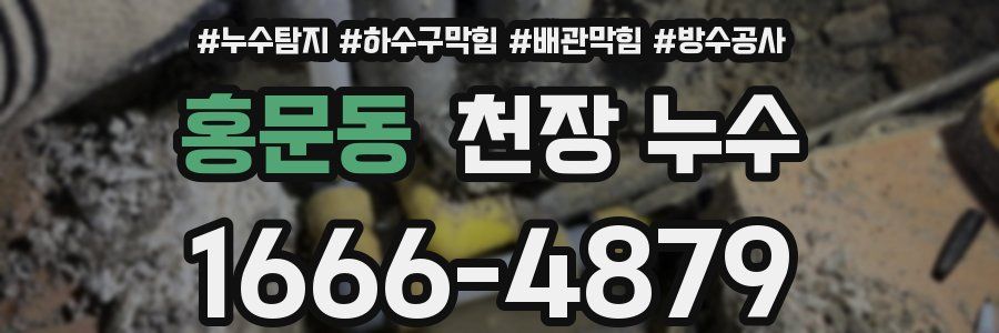 홍문동 천장 누수