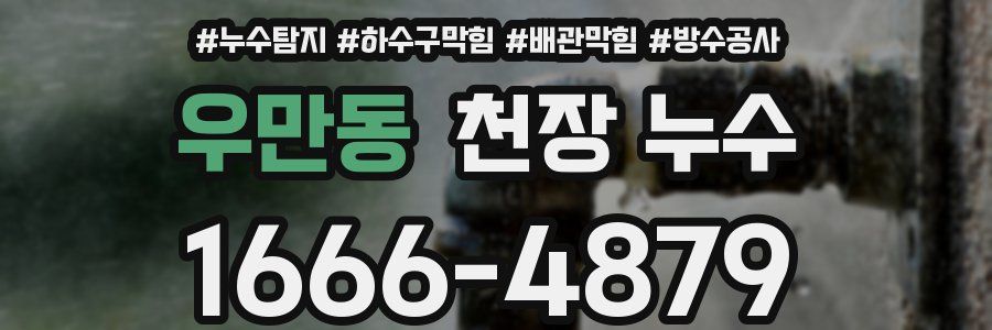 우만동 천장 누수