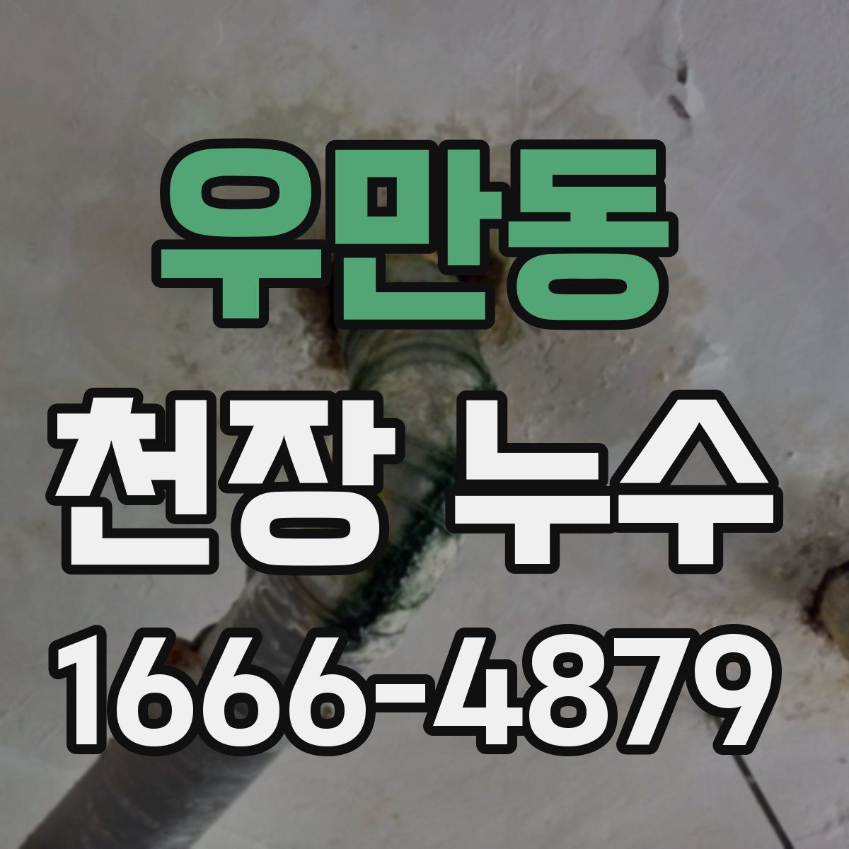 우만동 천장 누수
