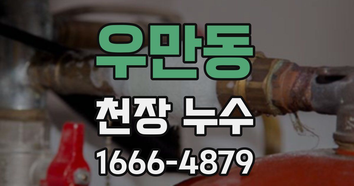 우만동 천장 누수