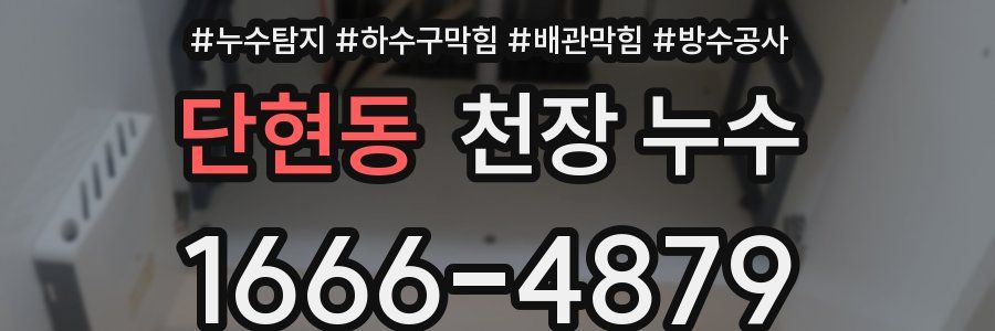 단현동 천장 누수