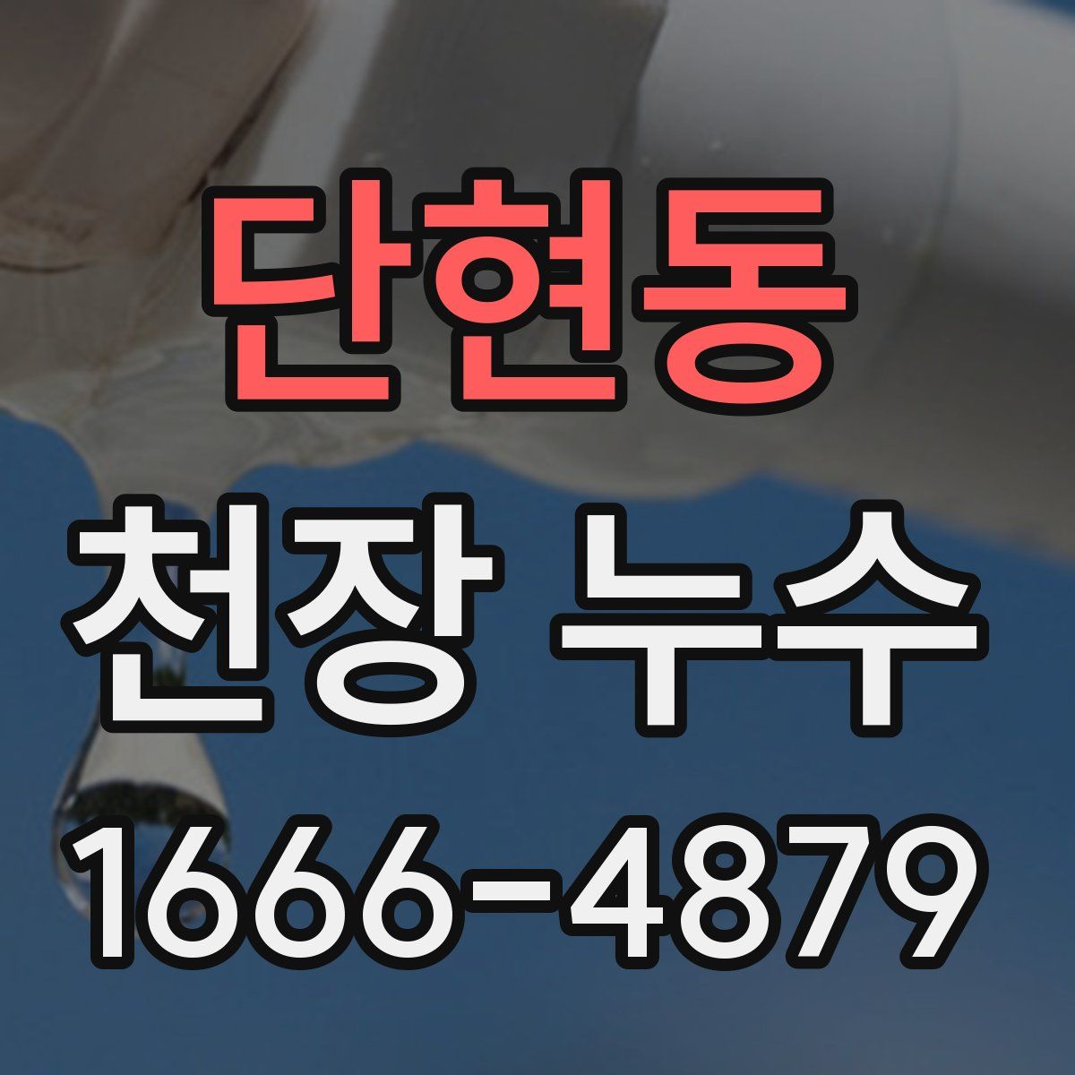 단현동 천장 누수