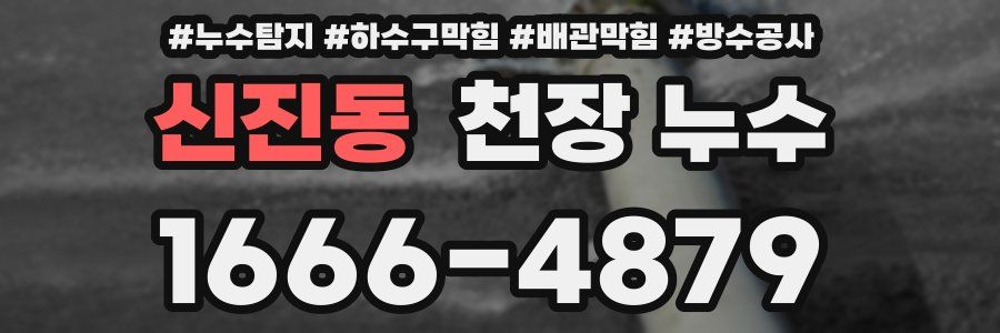 신진동 천장 누수