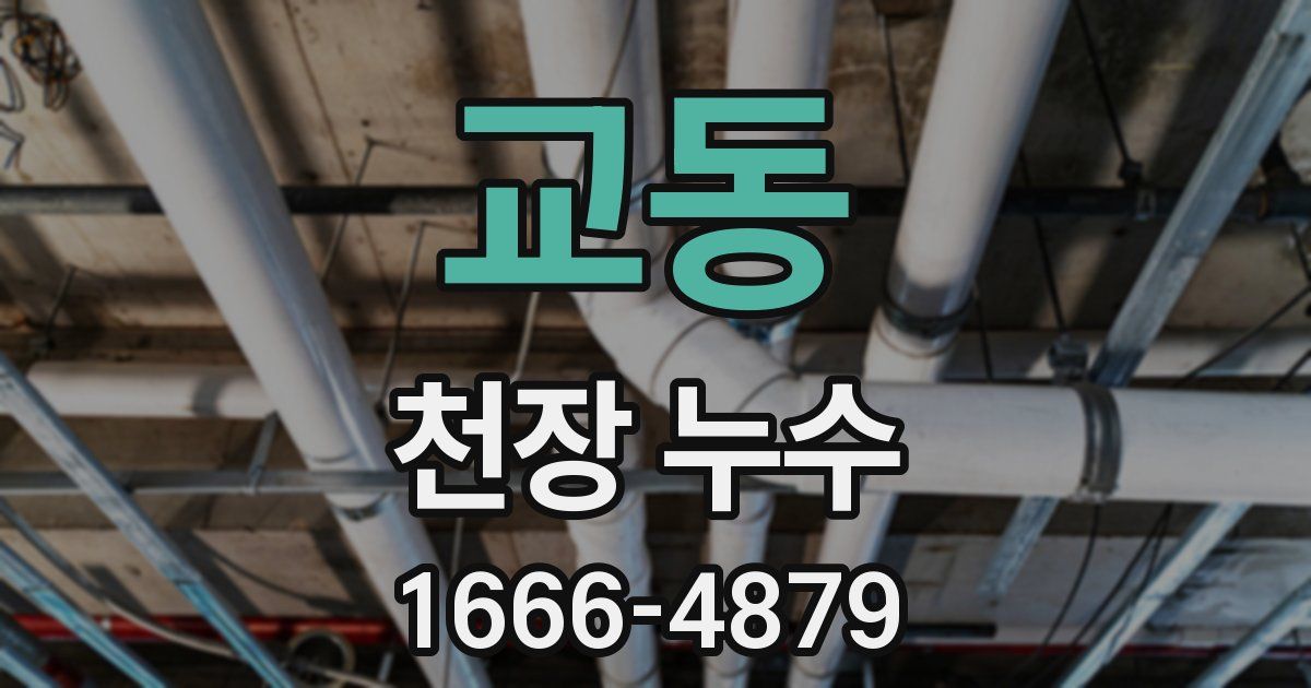 교동 천장 누수