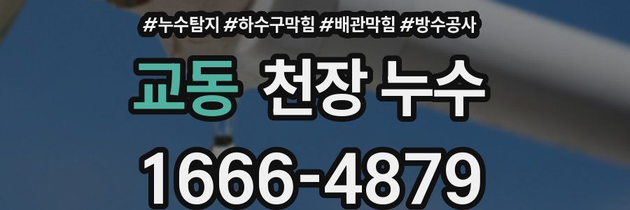 교동 천장 누수