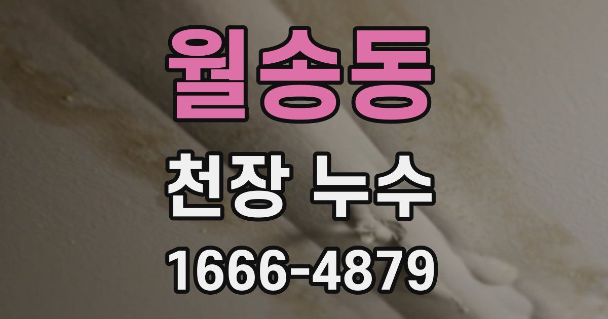 월송동 천장 누수