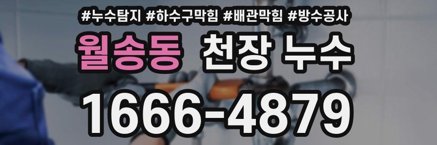 월송동 천장 누수