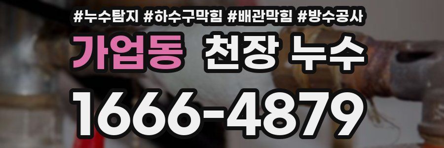 가업동 천장 누수