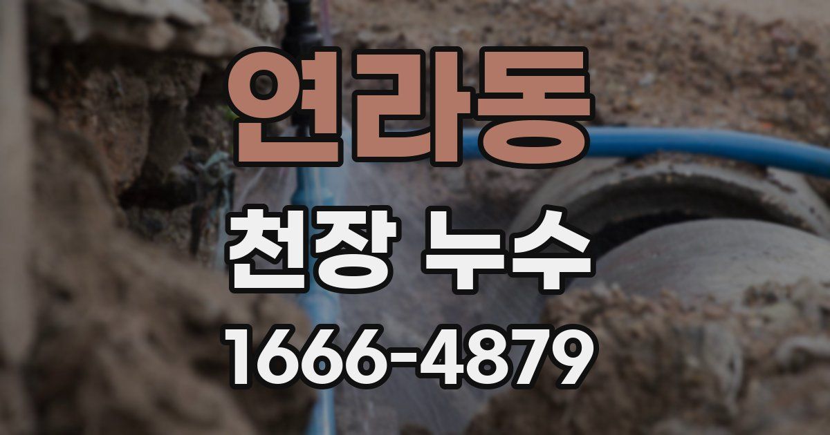 연라동 천장 누수