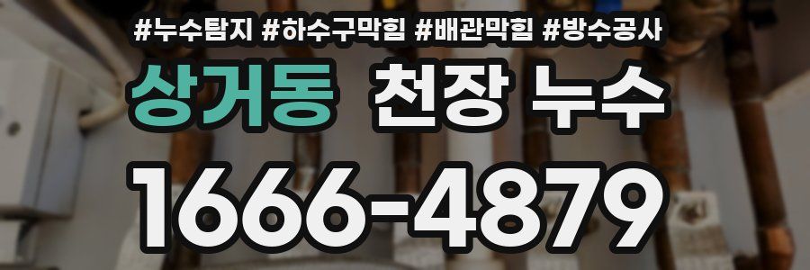 상거동 천장 누수