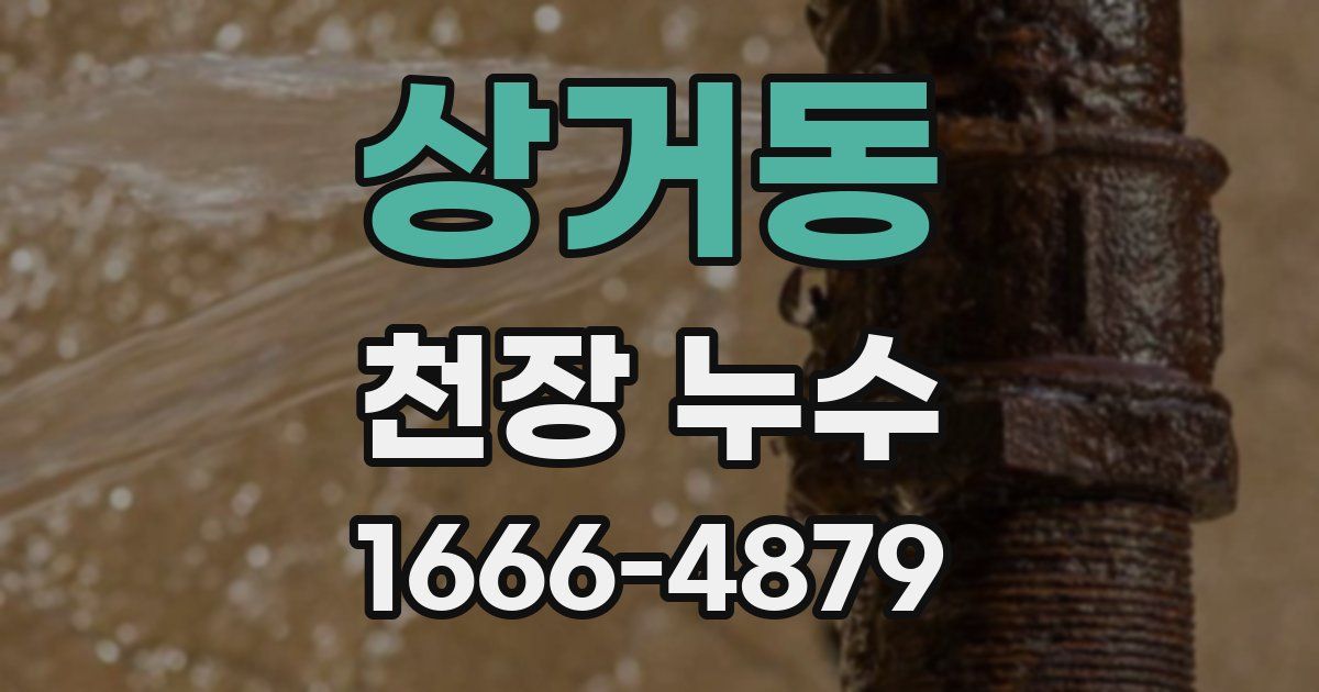 상거동 천장 누수