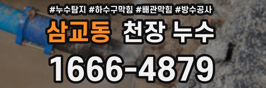 삼교동 천장 누수