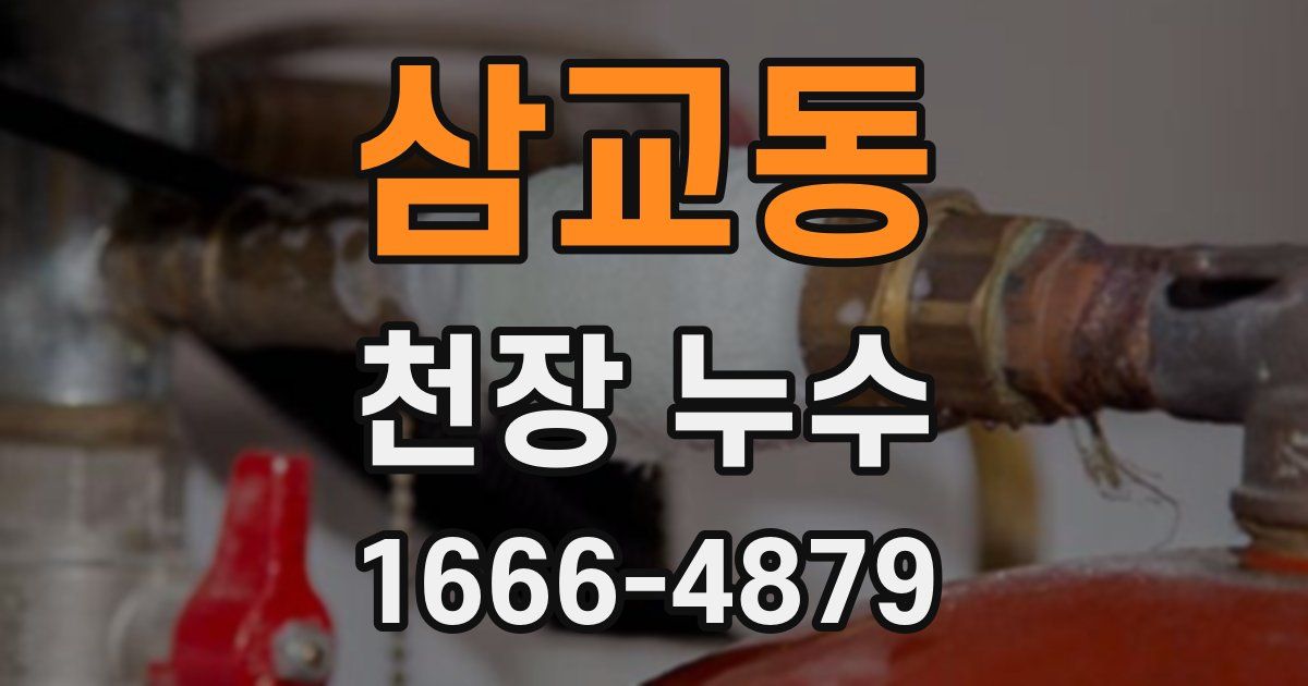 삼교동 천장 누수