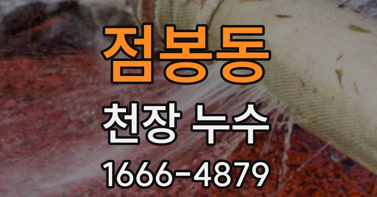 점봉동 천장 누수