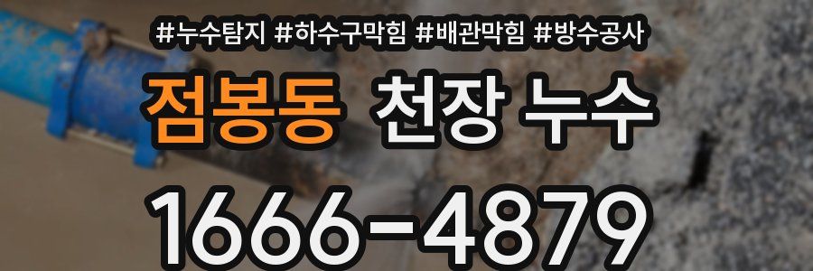 점봉동 천장 누수