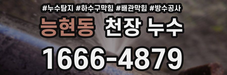 능현동 천장 누수
