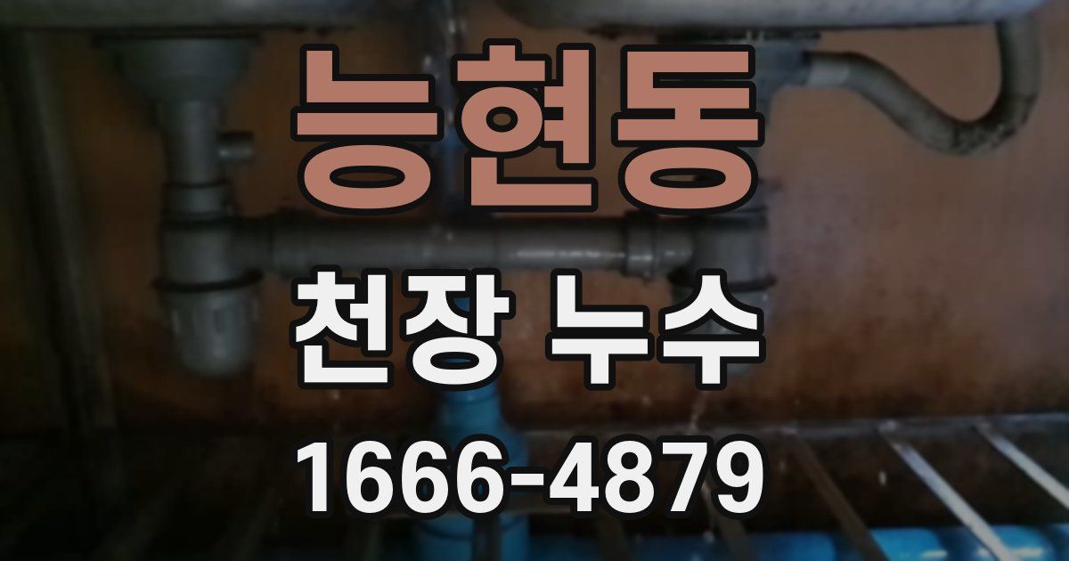 능현동 천장 누수