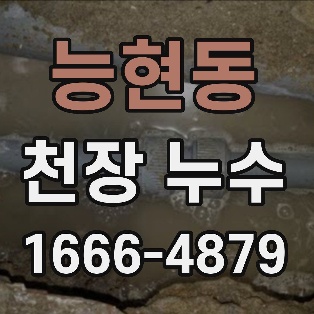 능현동 천장 누수