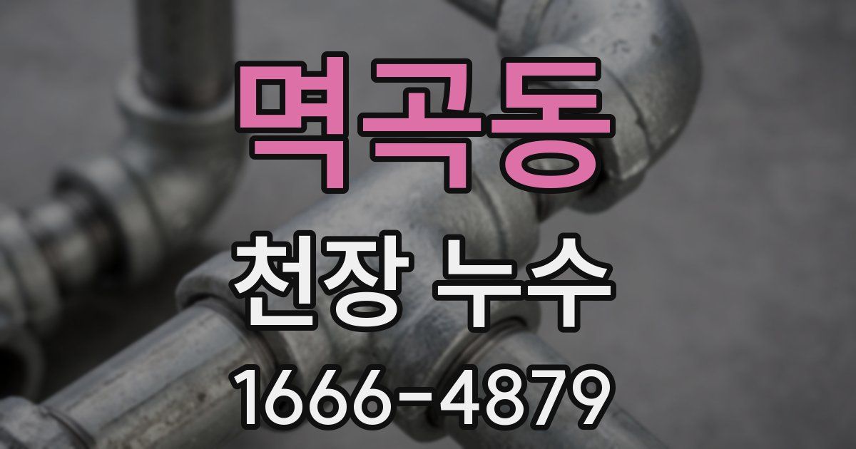 멱곡동 천장 누수
