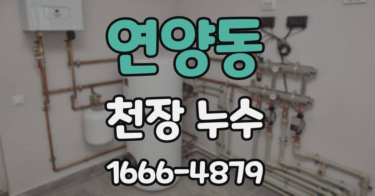 연양동 천장 누수