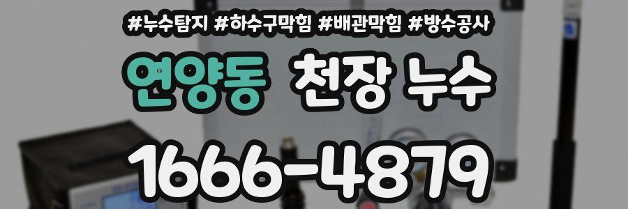 연양동 천장 누수