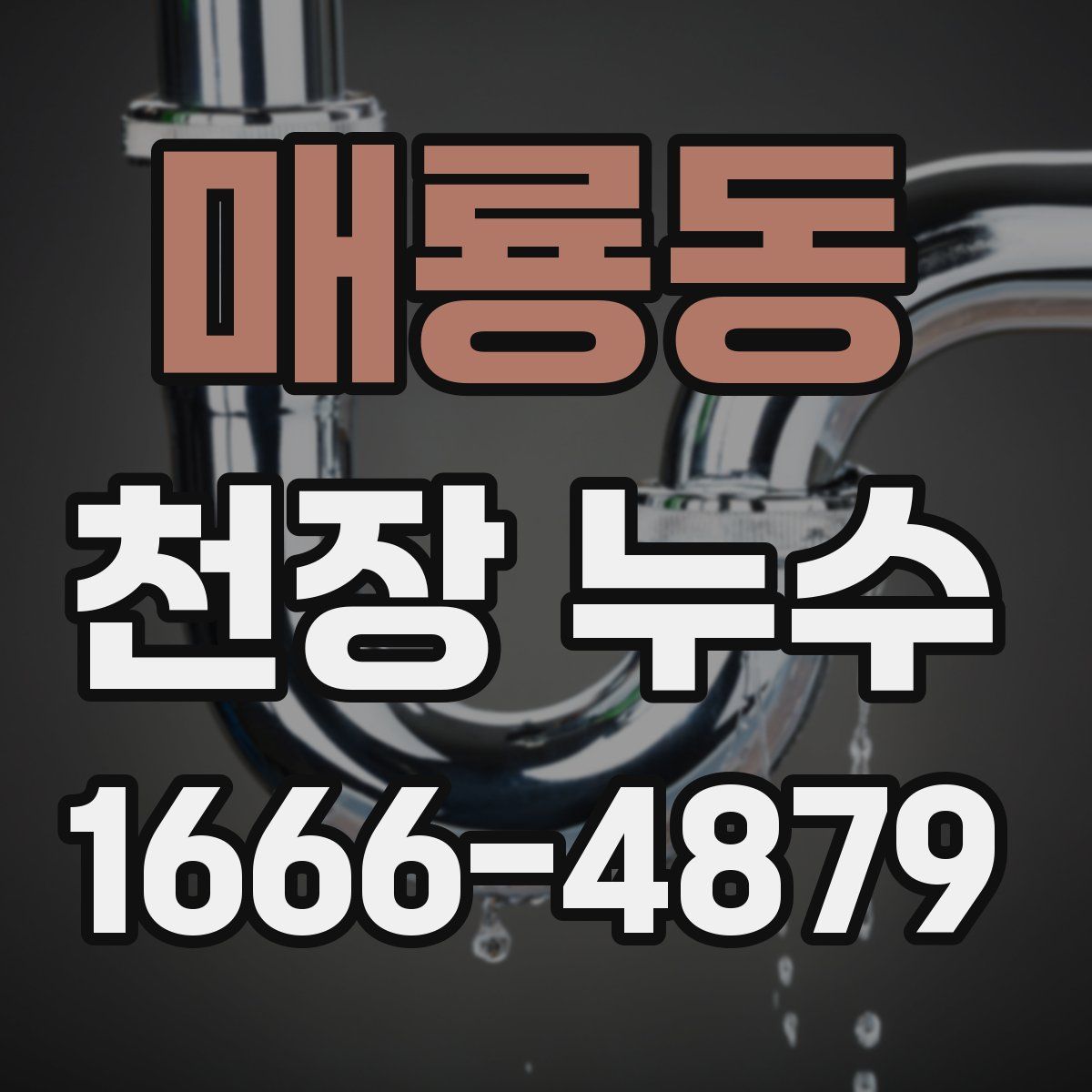 매룡동 천장 누수