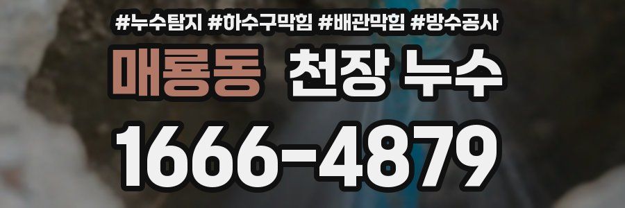 매룡동 천장 누수