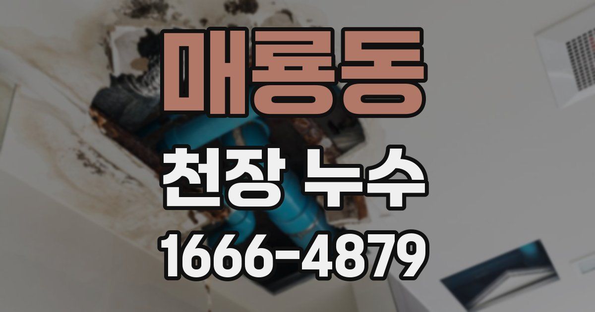 매룡동 천장 누수