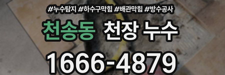 천송동 천장 누수