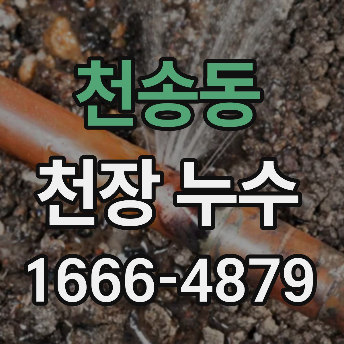 천송동 천장 누수