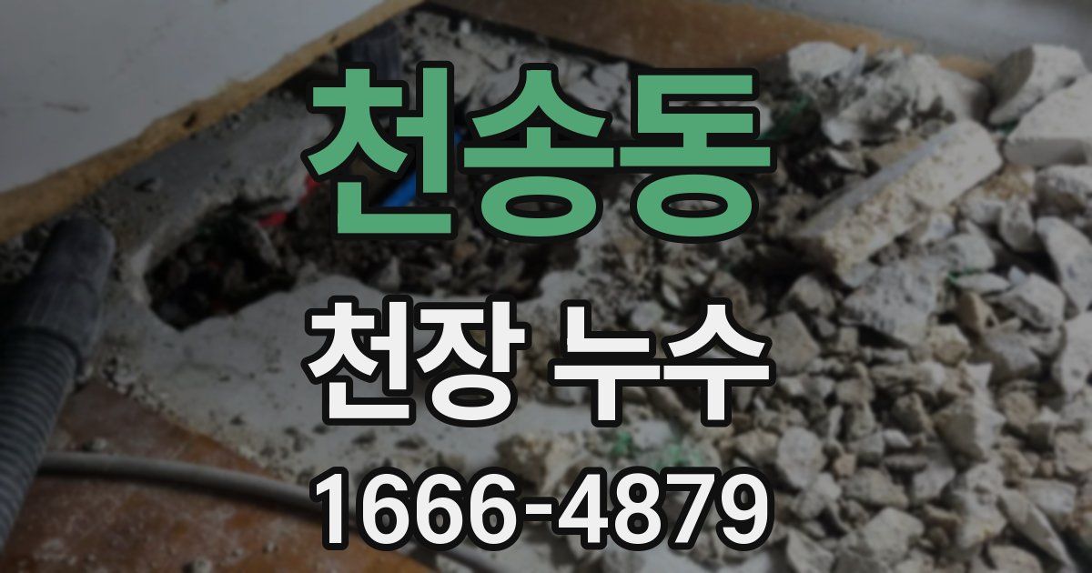 천송동 천장 누수