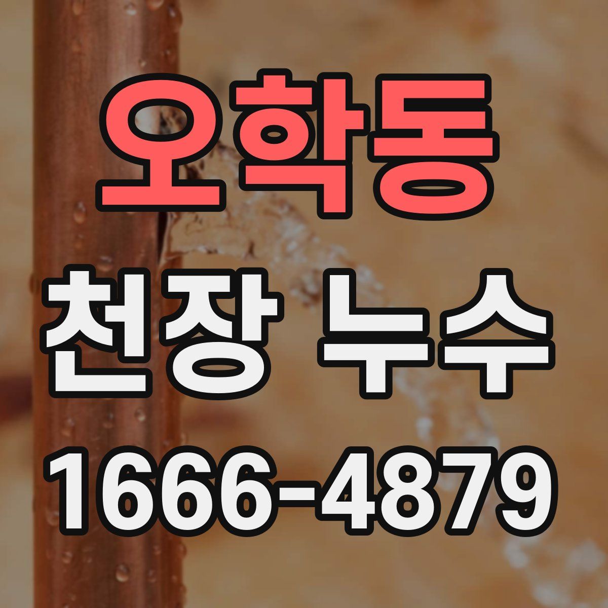 오학동 천장 누수